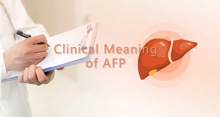 Clinical Meaning of AFP